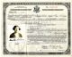 Naturalization Certificate of Martha (Reichelt) Wilkens