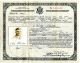 Naturalization papers for Willy Stolle
